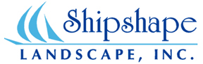 Ship Shape Landscape